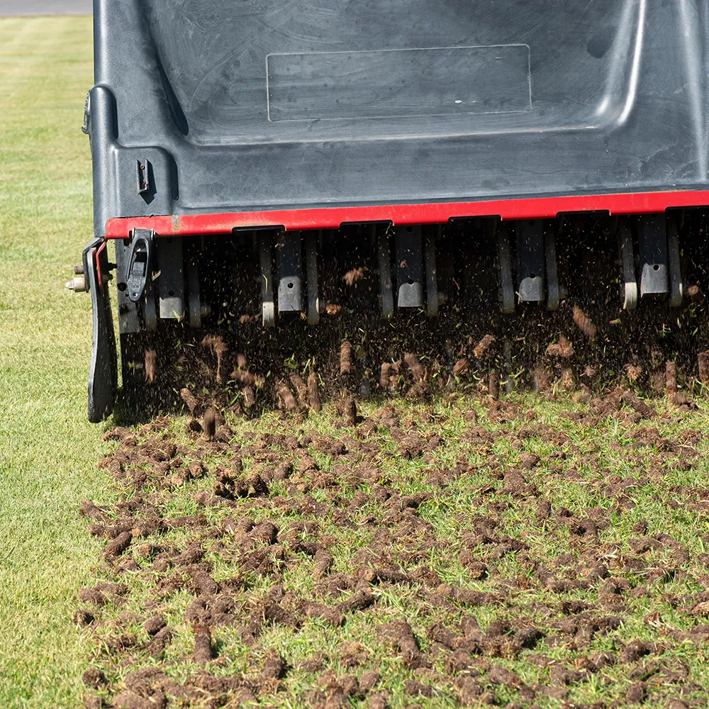 Core Aeration