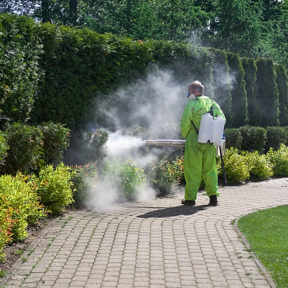 Mosquito Control