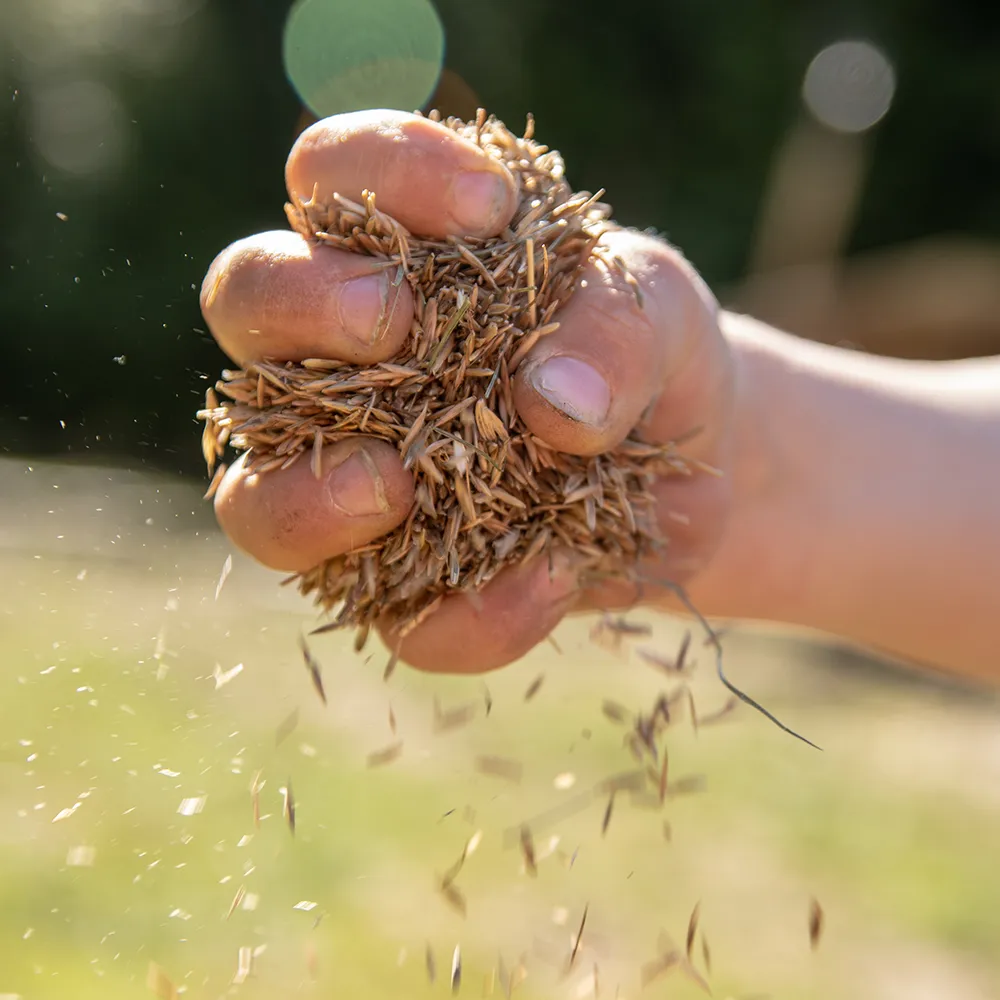 Overseeding